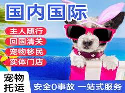 太平航空运输国际宠物托运 【国